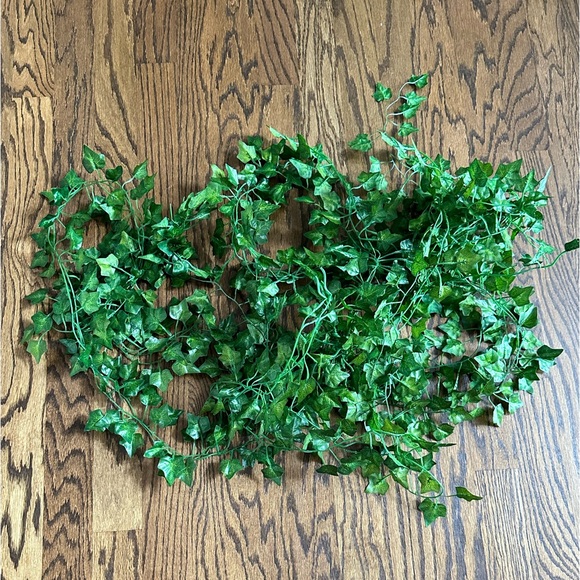 Home decor Vines Teen bedroom decorations - Picture 1 of 1